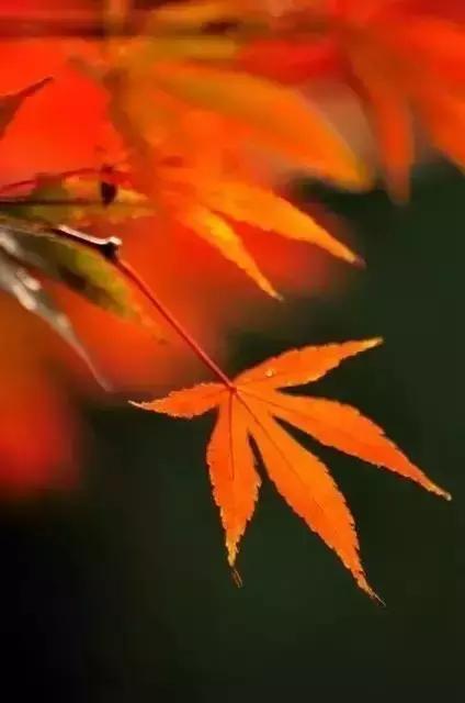 心中不缺为富被人所需为贵,心中无缺即为富被人需要即为贵