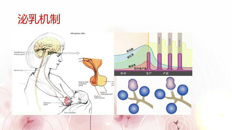 孕期怎么分辨母乳够不够吃,孕期应该吃母乳还是混合喂养