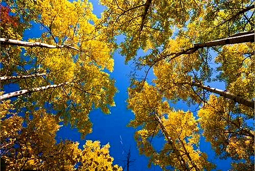 喇嘛沟景区游览攻略,北京喇叭沟旅游攻略