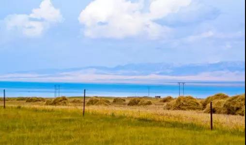 青海人的十大特征,主要看气质是谁提出来的