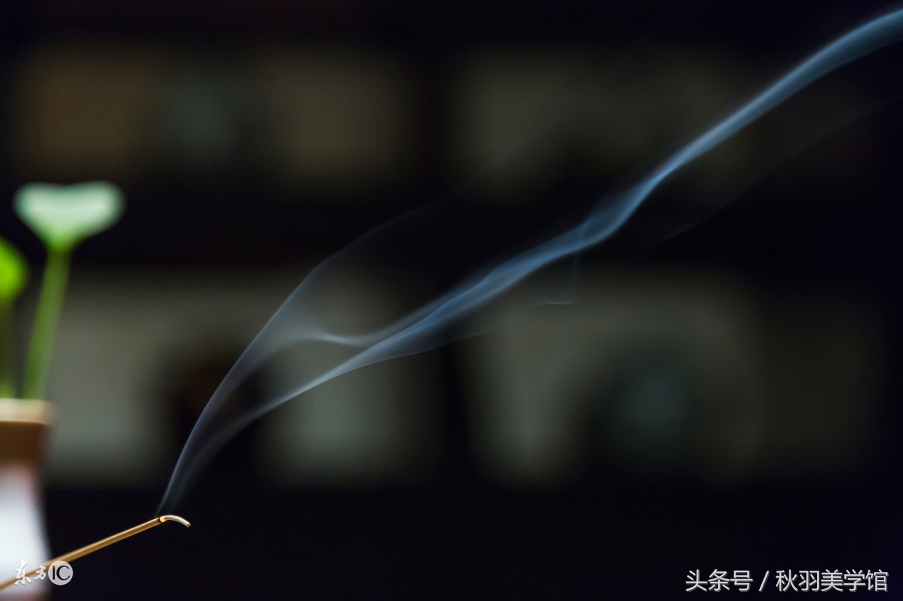 生活中的有些美需要你用心去发现,偶然拾得人间绝色