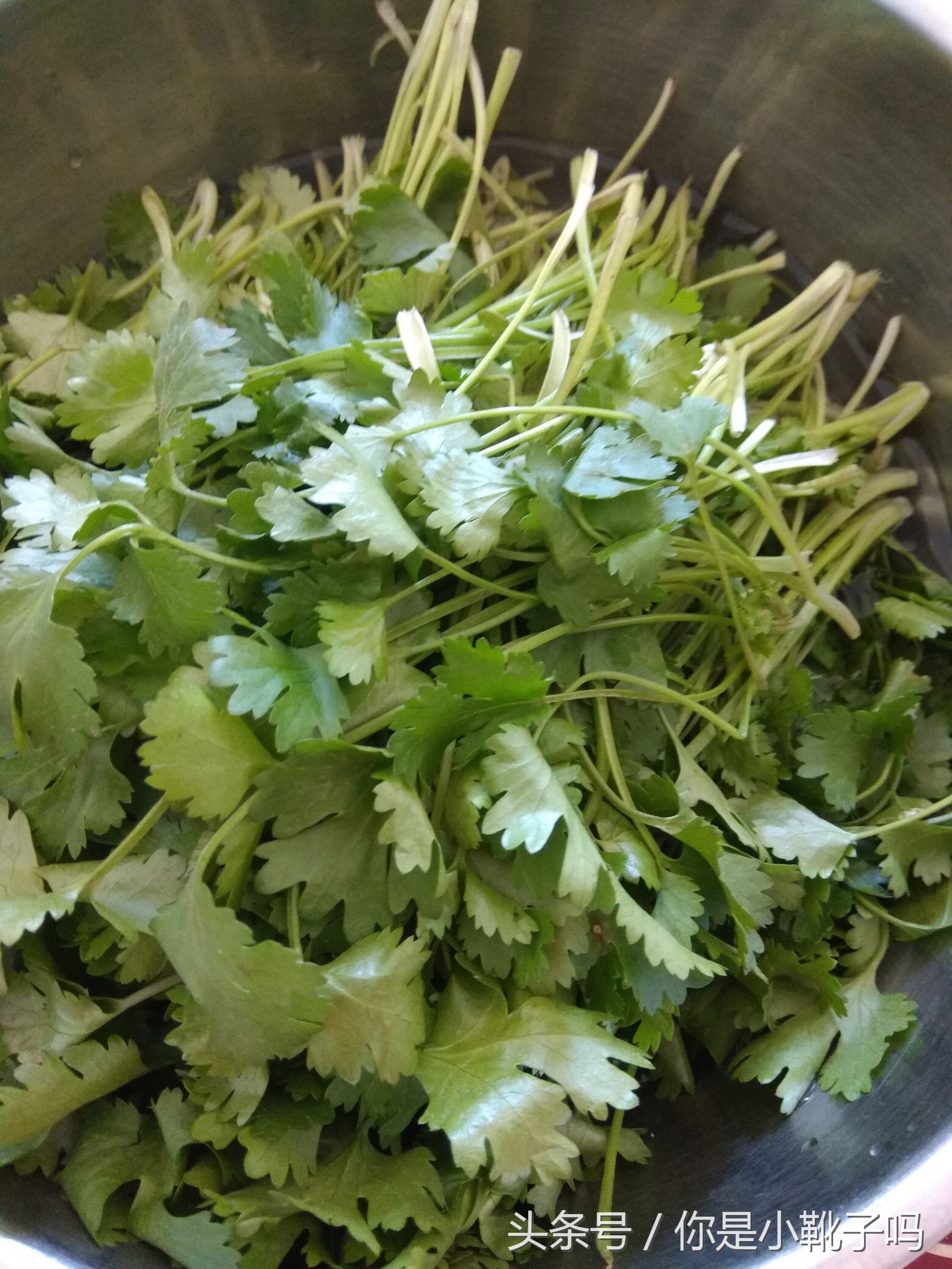 东北烀酱菜做法大全,东北酱菜最正宗的做法