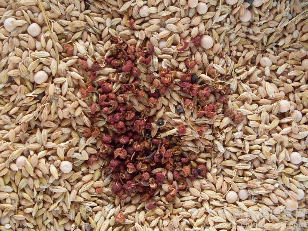 从有害生物的生活习性浅析有机粮食仓储技术