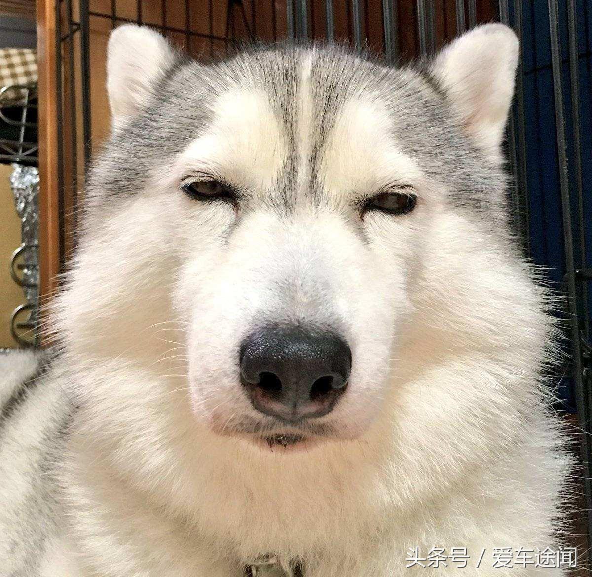 国产第一款车,国产的第一辆车是