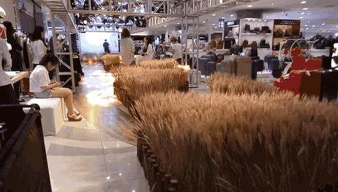 麦步远东开放式秀场，金色麦田间解锁最全秋季穿搭