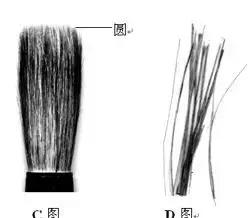 如何挑选毛笔笔锋长短,怎样挑选书法毛笔