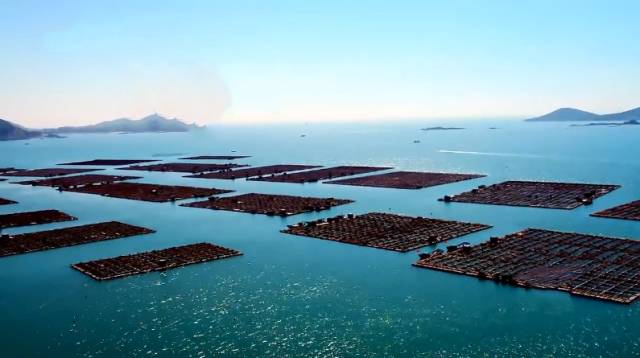 爸爸去哪拍摄地广东,爸爸去哪儿黄河拍摄地