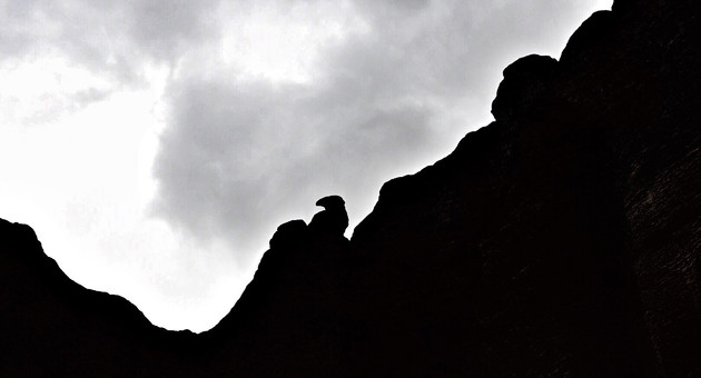 无挑战不英雄,东风日产suv全境挑战赛