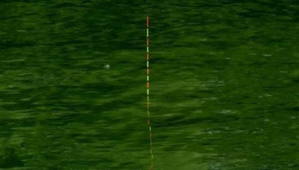 常见的漂相,十种常见的漂相图解