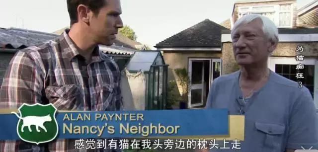 吸猫电影完整版免费,吸猫满足哪些需要