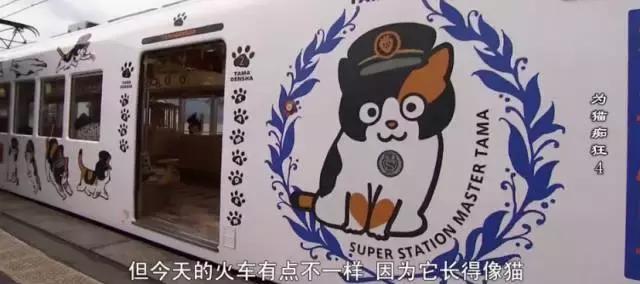 吸猫电影完整版免费,吸猫满足哪些需要