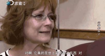 吸猫电影完整版免费,吸猫满足哪些需要