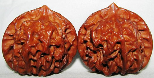 快餐式投资,快餐加盟投资预算