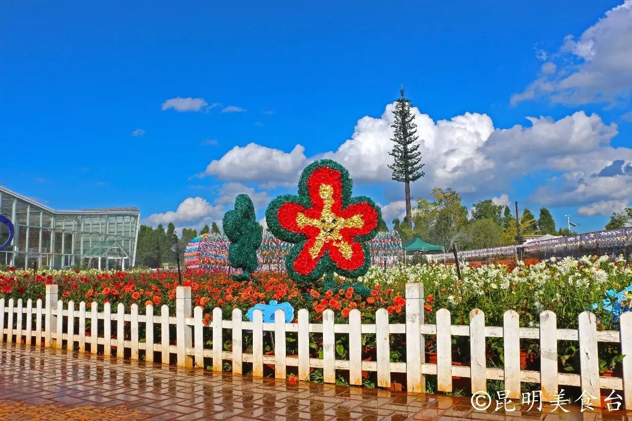 昆明捞鱼河公园万株野花如期绽放，国庆节踩烂2张共享单车也得去