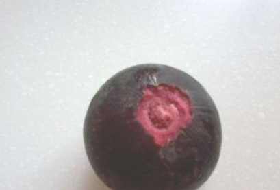 山竹的正确吃法山竹怎么剥,山竹的正确剥法好吃吗