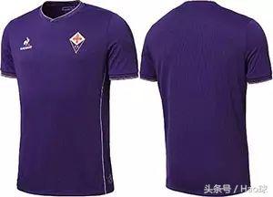 意甲紫百合由来,意甲紫百合是哪支球队