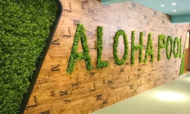 2-3岁宝宝培训机构,2岁早教培训机构