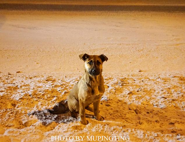 俄罗斯人的彪悍行为,俄罗斯人的性格有多彪悍