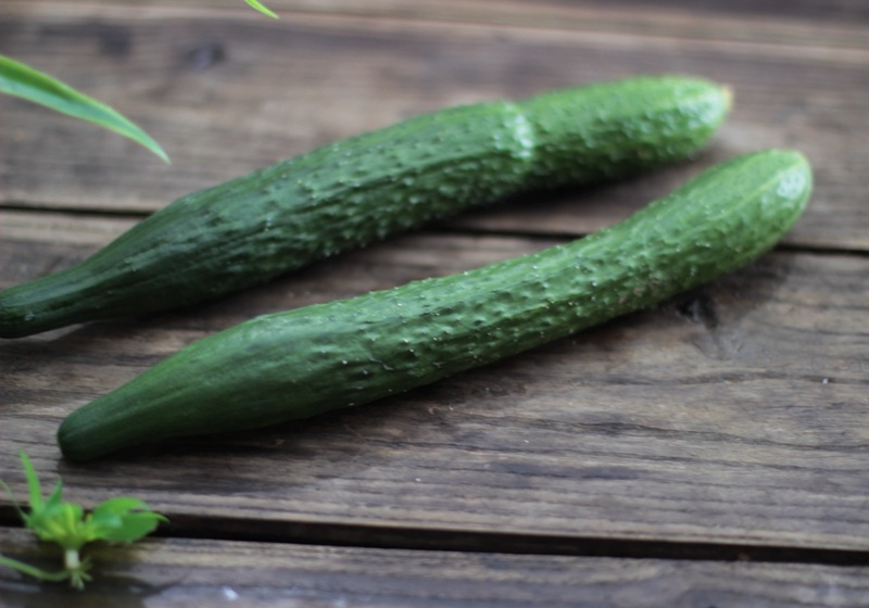 五星级酱黄瓜做法,10斤酱黄瓜绝密配方比例