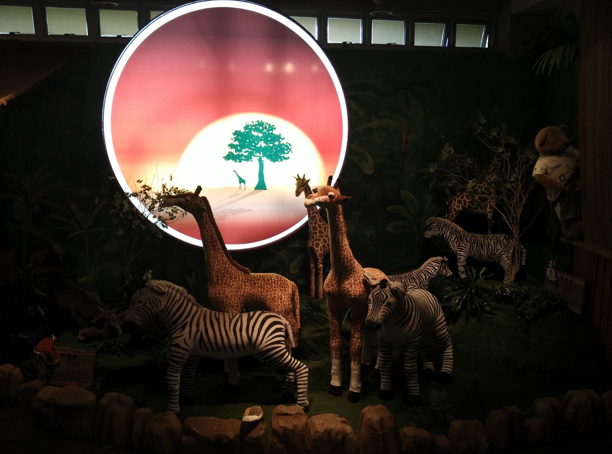 我的韩国旅游纪录片,去韩国打工的真实感受