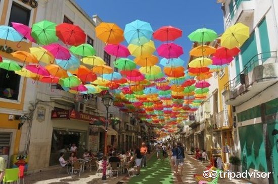 缤纷绚丽的视频,色彩斑斓的世界美景