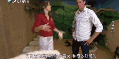 吸猫电影完整版免费,吸猫满足哪些需要