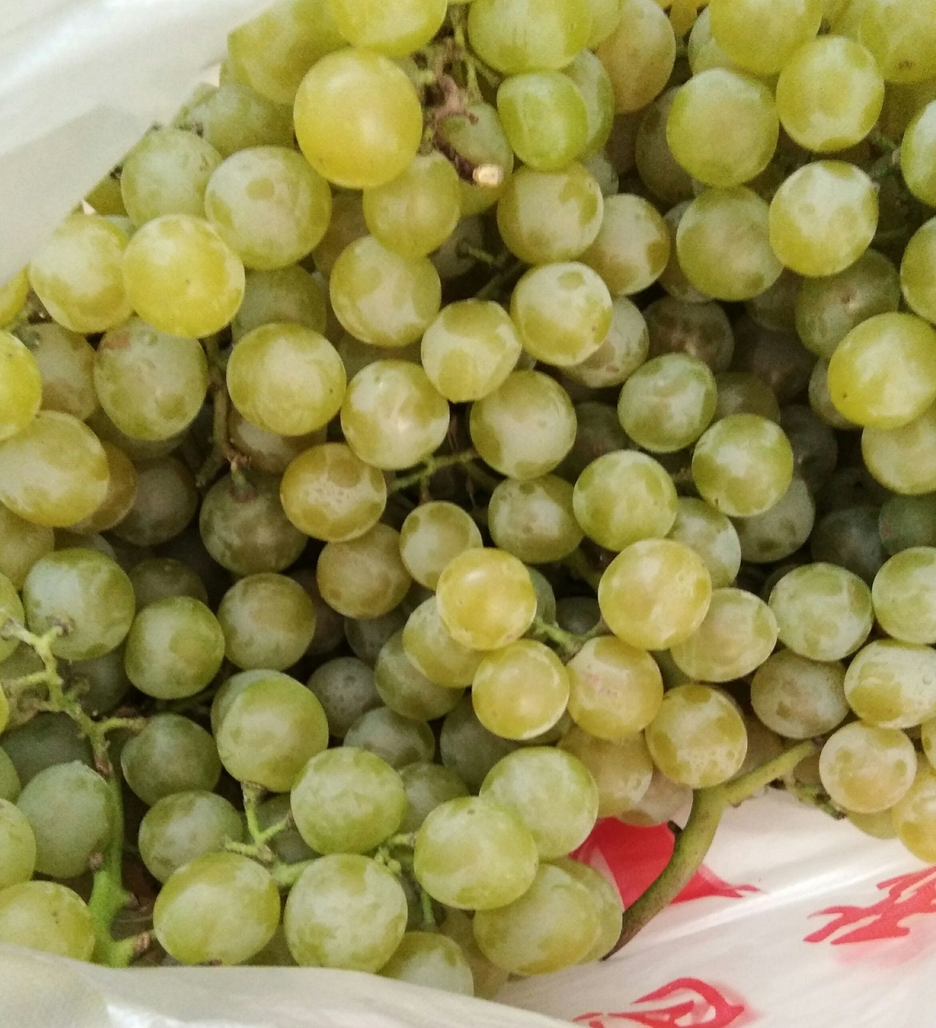 葡萄怎么洗更安全,葡萄如何洗才能确保干净