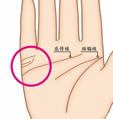 怎么从手相上看有没有事业,手相怎么看运气好