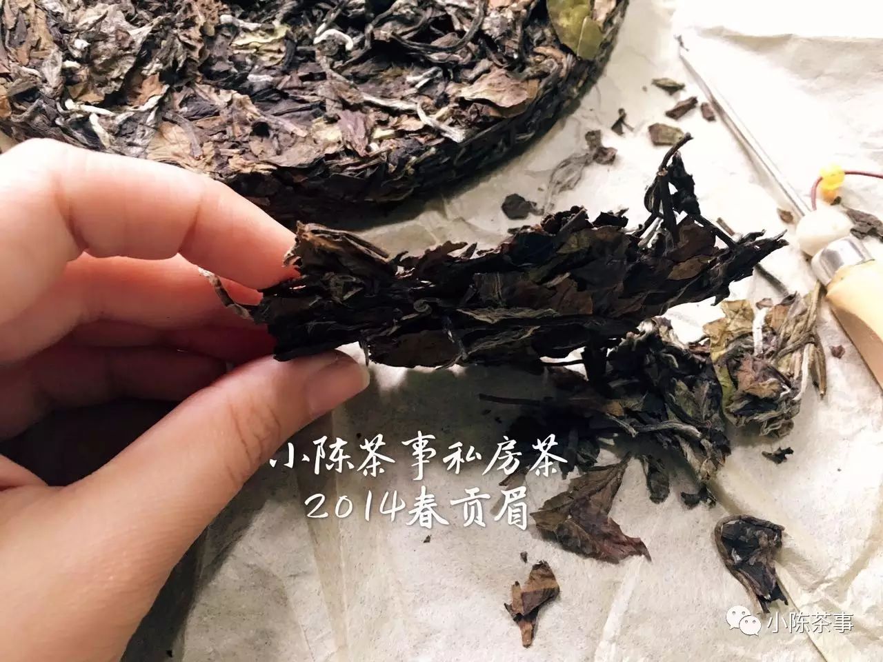 请留意白茶界的“裘千丈”，出现就赶紧丢弃！
