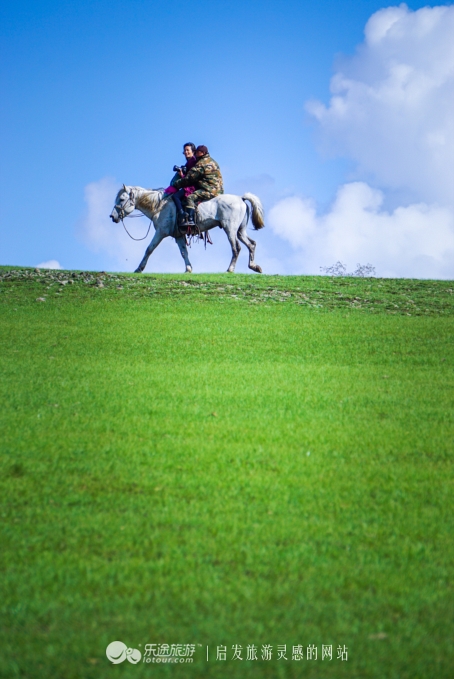 三河马的血统有哪些,三河马是怎么诞生的