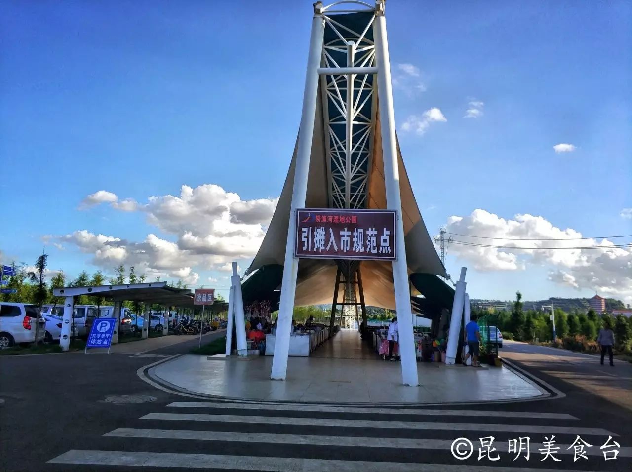 昆明捞鱼河公园万株野花如期绽放，国庆节踩烂2张共享单车也得去