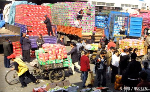 如何找到代卖货,代卖水果怎么操作