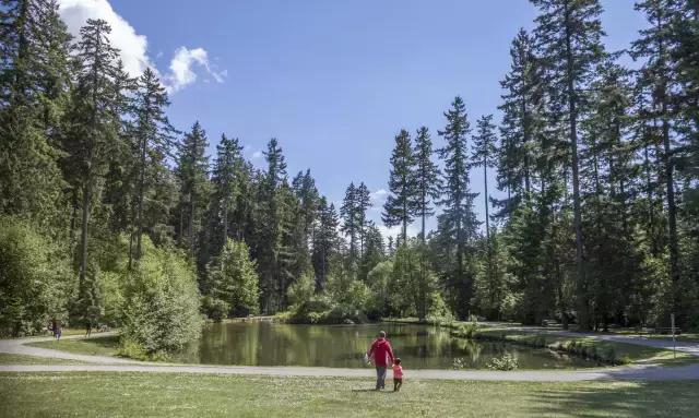 加拿大代购必备清单,加拿大好东西有哪些