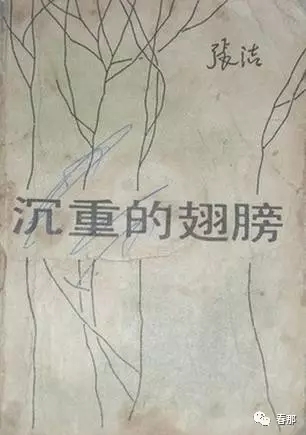 张洁沉重的翅膀片段,沉重的翅膀张洁介绍