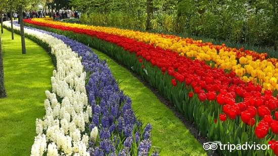 缤纷绚丽的视频,色彩斑斓的世界美景