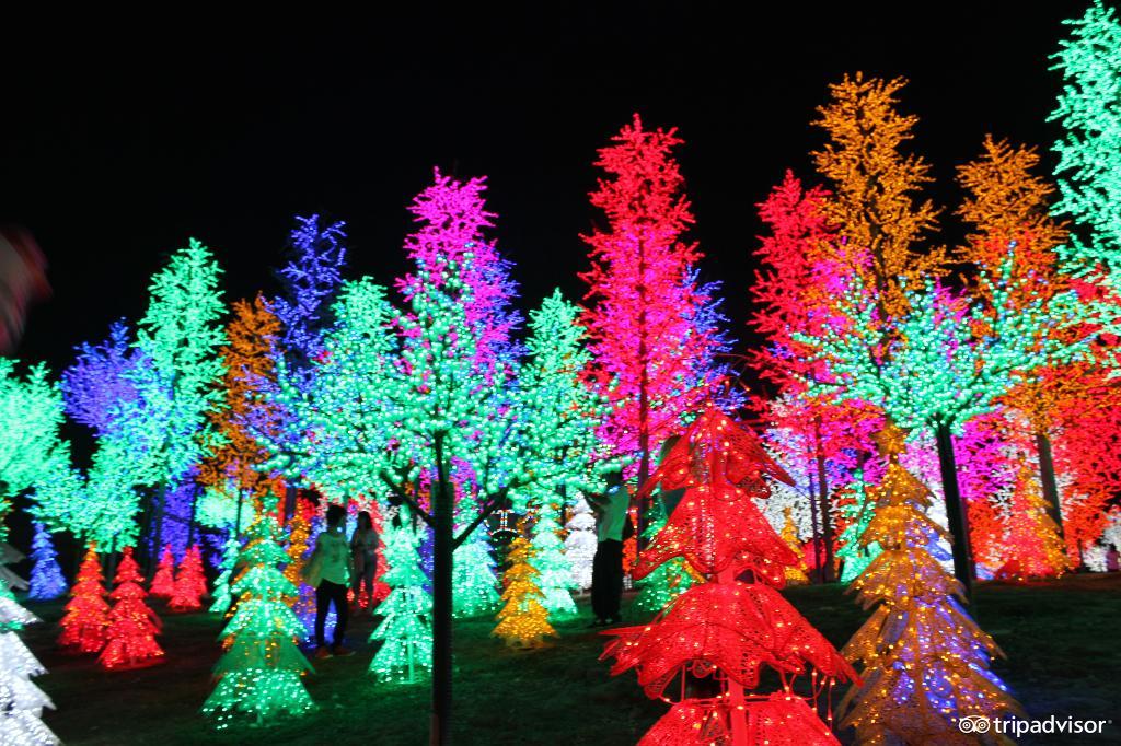 缤纷绚丽的视频,色彩斑斓的世界美景