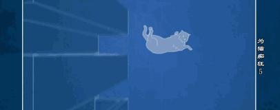 吸猫电影完整版免费,吸猫满足哪些需要