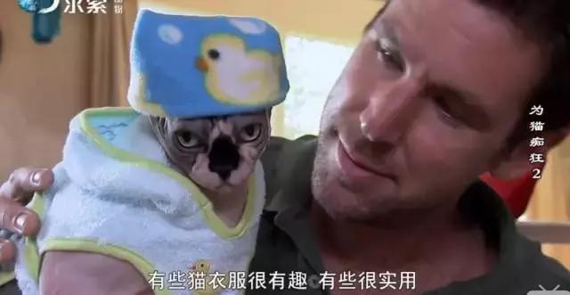 吸猫电影完整版免费,吸猫满足哪些需要