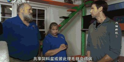 吸猫电影完整版免费,吸猫满足哪些需要