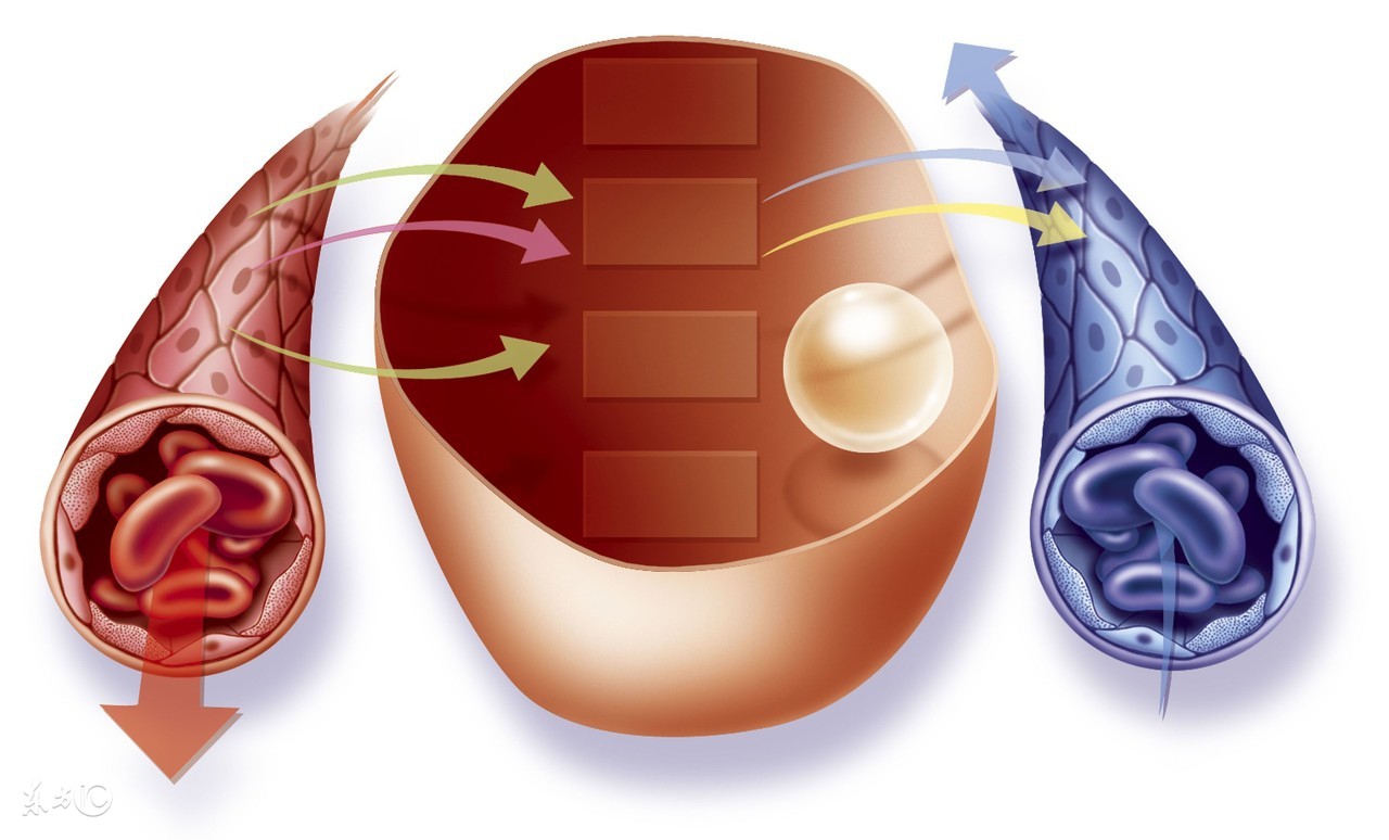 99%的人都不知道，简单的绿豆汤却能治好30年顽固牛皮癣