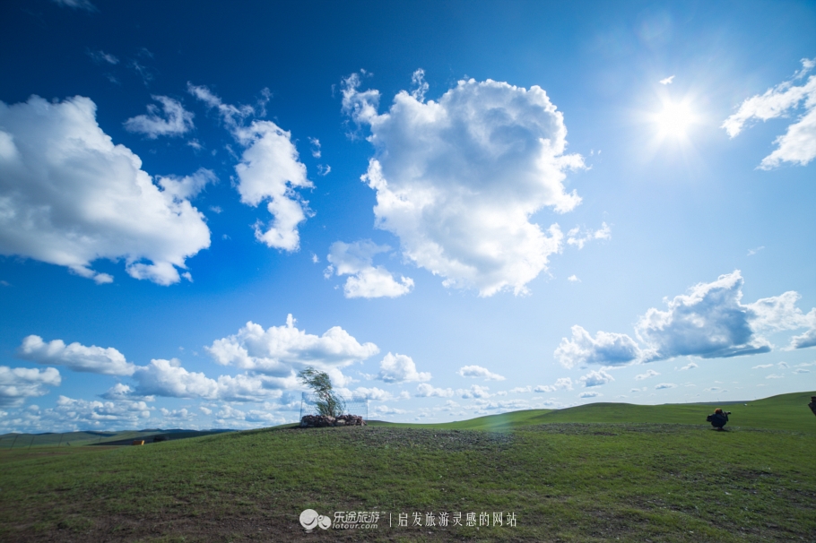 三河马的血统有哪些,三河马是怎么诞生的