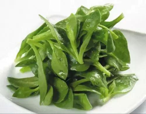 凯里人吃菜,凯里的野菜大全