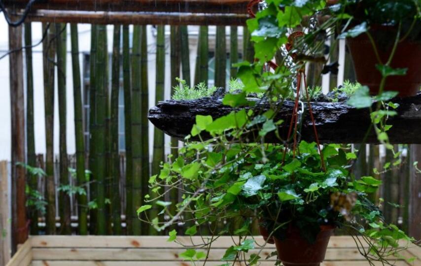 西塘古镇推荐民宿,西塘古镇民宿推荐