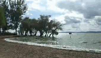 昆明捞鱼河公园万株野花如期绽放，国庆节踩烂2张共享单车也得去