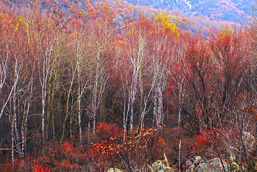 喇嘛沟景区游览攻略,北京喇叭沟旅游攻略