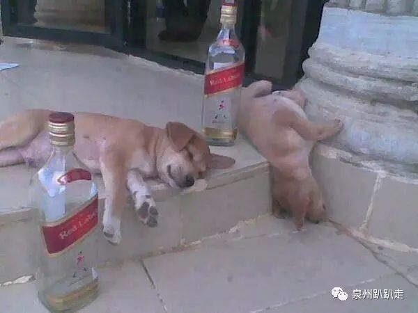 在泉州生活是一种什么体验,在泉州生活是什么体验