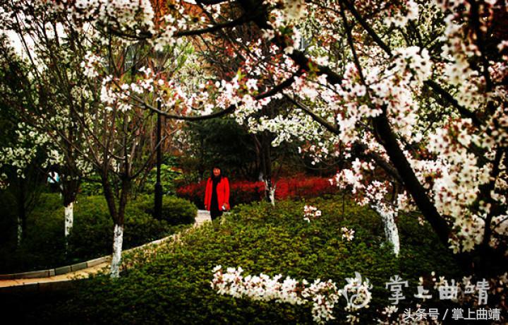 云南马龙水景公园,马龙县水景公园图片