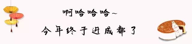 1980年老月饼,老成都最出名的月饼品牌
