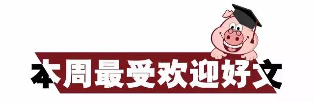 巨钻,巨钻多少钱一颗