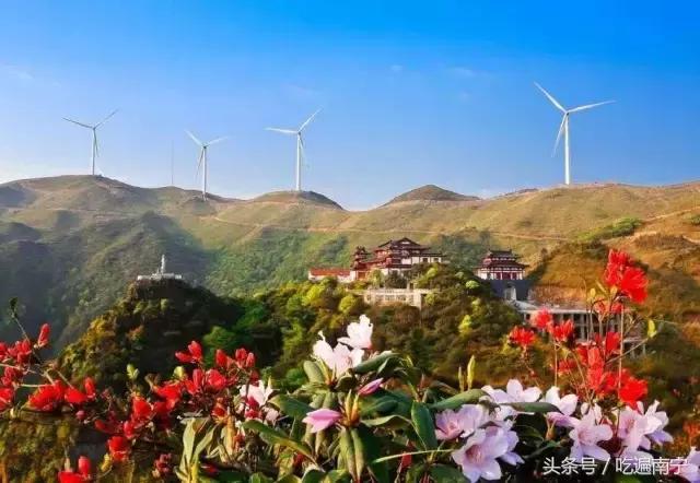 南宁十大最美农家乐推荐,南宁周边烧烤野炊前十排行